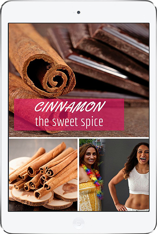 Cinnamon-sheet-nourl